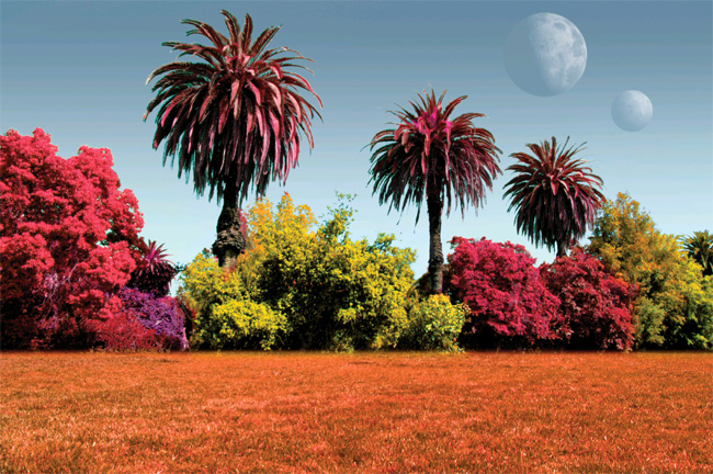 Colorful Worlds: Plants on Other Planets Might Not Be Green